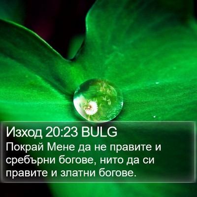 Изход 20:23 BULG Bible Verse Image