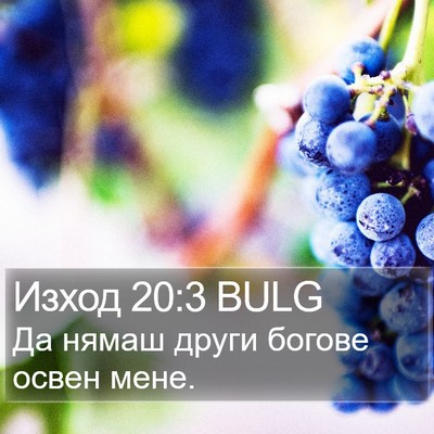 Изход 20:3 BULG Bible Verse Image
