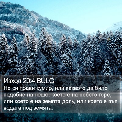 Изход 20:4 BULG Bible Verse Image
