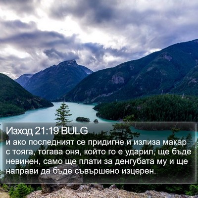 Изход 21:19 BULG Bible Verse Image