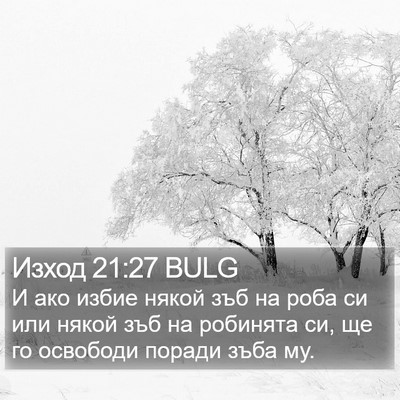 Изход 21:27 BULG Bible Verse Image