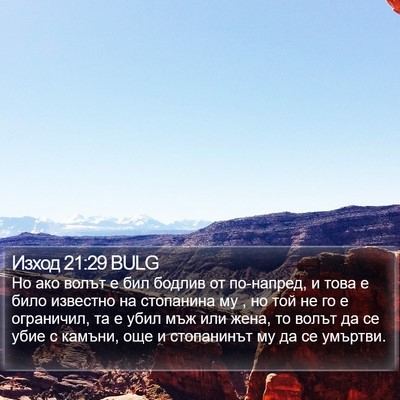 Изход 21:29 BULG Bible Verse Image