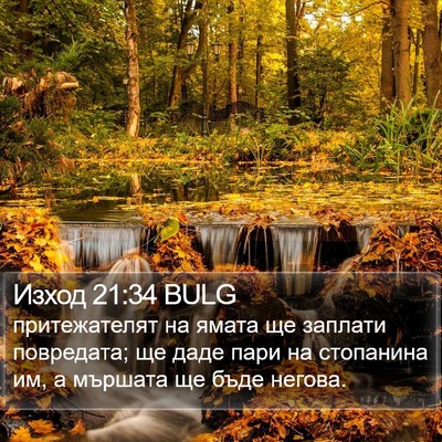 Изход 21:34 BULG Bible Verse Image