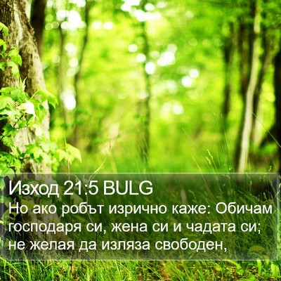 Изход 21:5 BULG Bible Verse Image