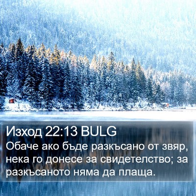 Изход 22:13 BULG Bible Verse Image