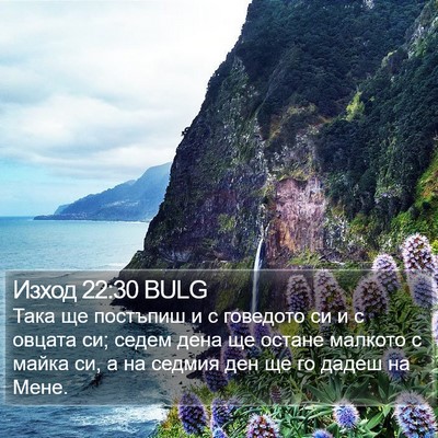 Изход 22:30 BULG Bible Verse Image