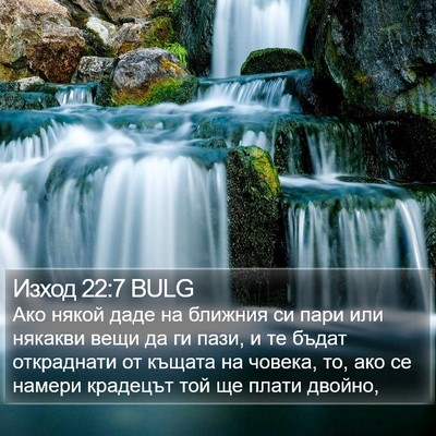 Изход 22:7 BULG Bible Verse Image