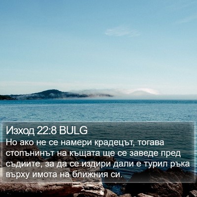 Изход 22:8 BULG Bible Verse Image