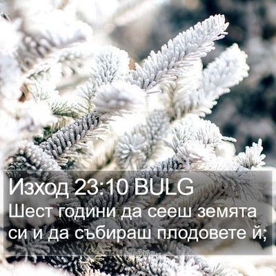 Изход 23:10 BULG Bible Verse Image