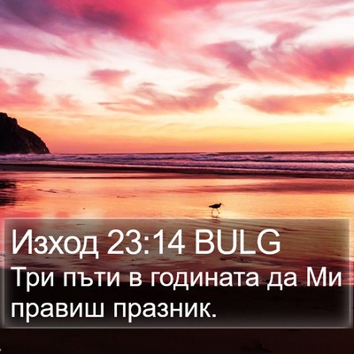 Изход 23:14 BULG Bible Verse Image