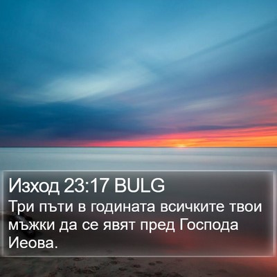 Изход 23:17 BULG Bible Verse Image
