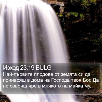 Изход 23:19 BULG Bible Verse Image