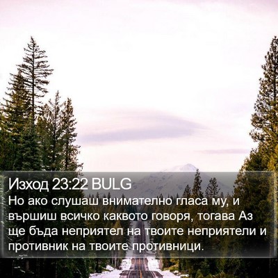 Изход 23:22 BULG Bible Verse Image
