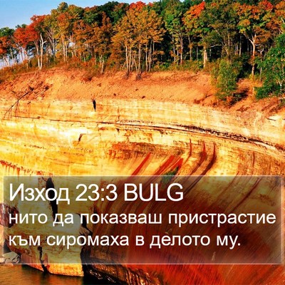 Изход 23:3 BULG Bible Verse Image