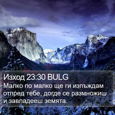 Изход 23:30 BULG Bible Verse Image