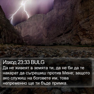 Изход 23:33 BULG Bible Verse Image