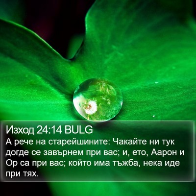Изход 24:14 BULG Bible Verse Image