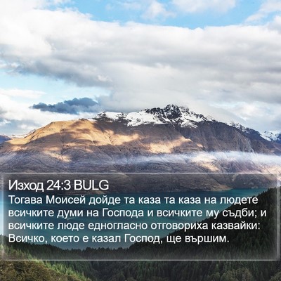 Изход 24:3 BULG Bible Verse Image