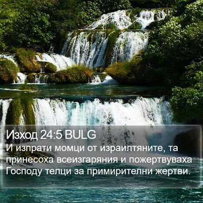 Изход 24:5 BULG Bible Verse Image