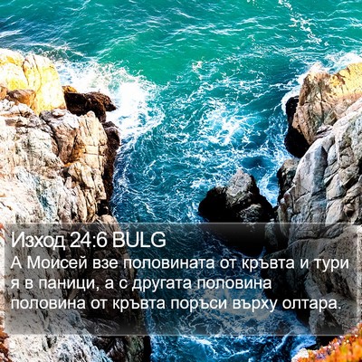 Изход 24:6 BULG Bible Verse Image