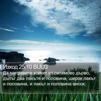 Изход 25:10 BULG Bible Verse Image
