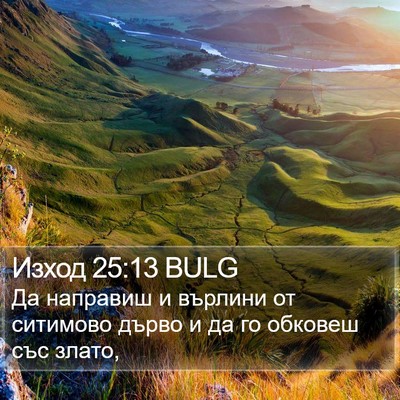 Изход 25:13 BULG Bible Verse Image