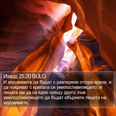 Изход 25:20 BULG Bible Verse Image