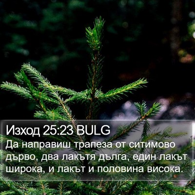 Изход 25:23 BULG Bible Verse Image