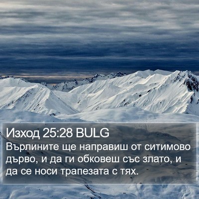 Изход 25:28 BULG Bible Verse Image
