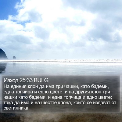 Изход 25:33 BULG Bible Verse Image