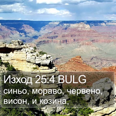 Изход 25:4 BULG Bible Verse Image