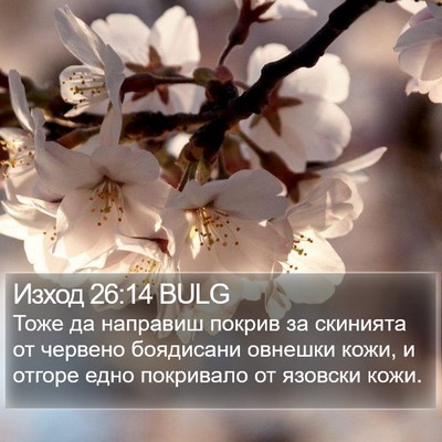 Изход 26:14 BULG Bible Verse Image