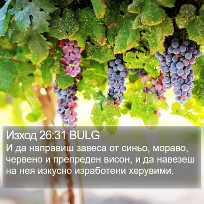 Изход 26:31 BULG Bible Verse Image