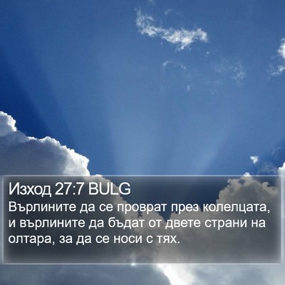 Изход 27:7 BULG Bible Verse Image