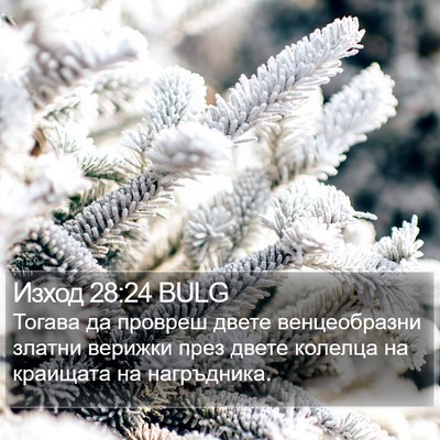 Изход 28:24 BULG Bible Verse Image