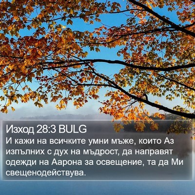 Изход 28:3 BULG Bible Verse Image