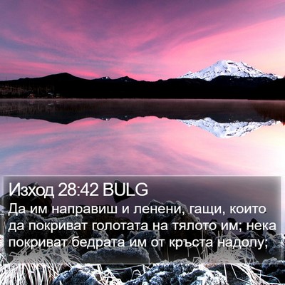 Изход 28:42 BULG Bible Verse Image