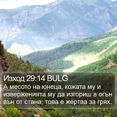 Изход 29:14 BULG Bible Verse Image