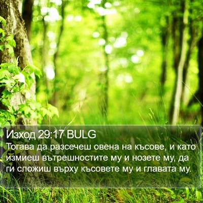Изход 29:17 BULG Bible Verse Image