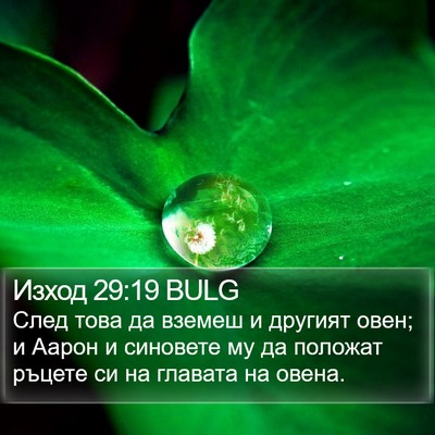 Изход 29:19 BULG Bible Verse Image