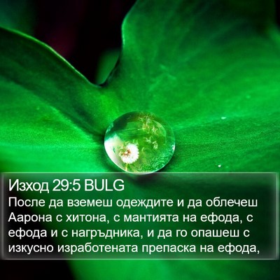 Изход 29:5 BULG Bible Verse Image