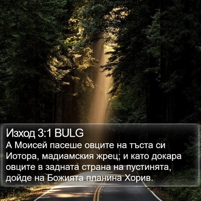 Изход 3:1 BULG Bible Verse Image