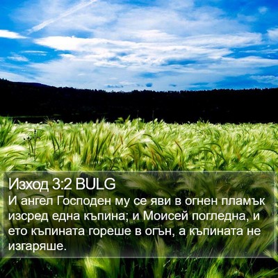 Изход 3:2 BULG Bible Verse Image