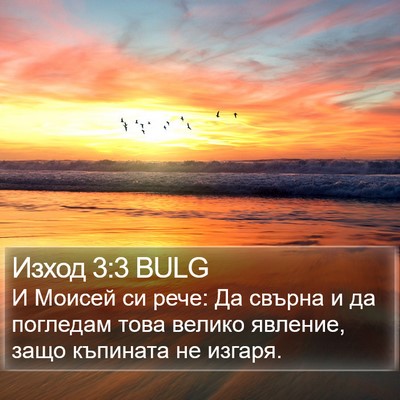 Изход 3:3 BULG Bible Verse Image