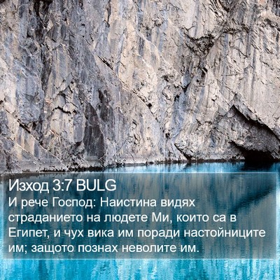 Изход 3:7 BULG Bible Verse Image