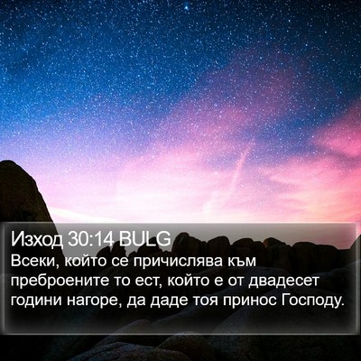 Изход 30:14 BULG Bible Verse Image