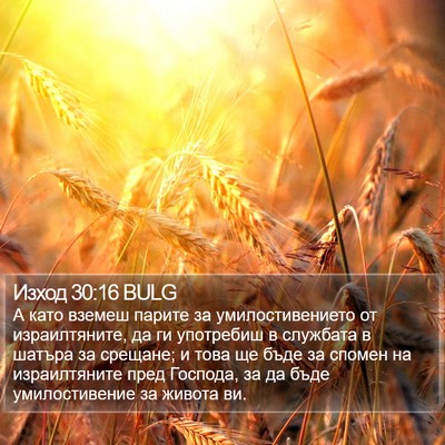 Изход 30:16 BULG Bible Verse Image