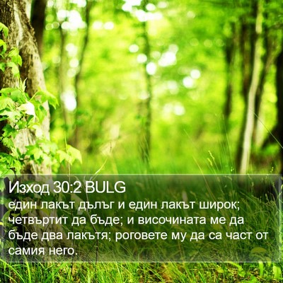 Изход 30:2 BULG Bible Verse Image