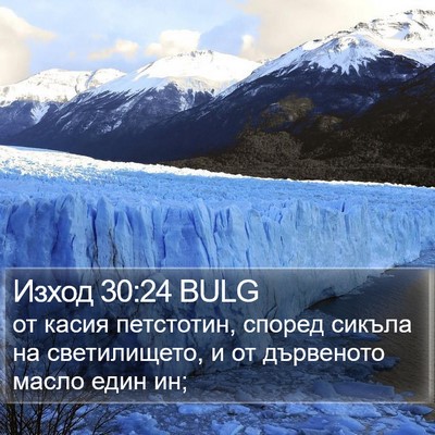 Изход 30:24 BULG Bible Verse Image