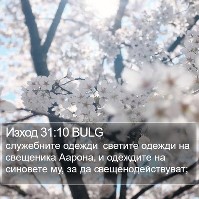 Изход 31:10 BULG Bible Verse Image